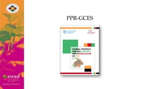 Overview of PPR in West Africa