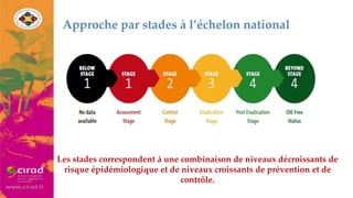 Overview of PPR in West Africa