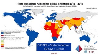 Overview of PPR in West Africa