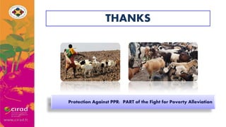 Overview of PPR in West Africa