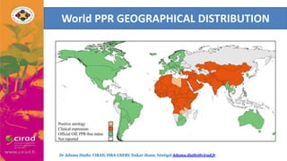 Overview of PPR in West Africa