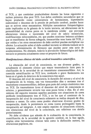 Lesión cerebral traumatica