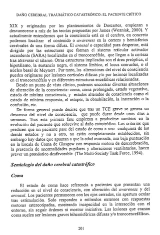 Lesión cerebral traumatica