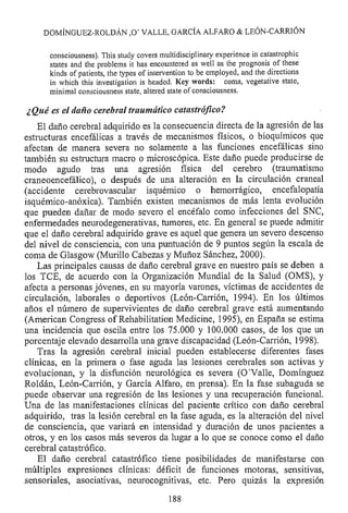 Lesión cerebral traumatica