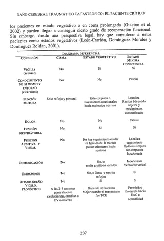 Lesión cerebral traumatica