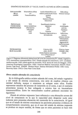 Lesión cerebral traumatica