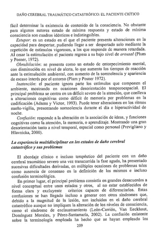 Lesión cerebral traumatica