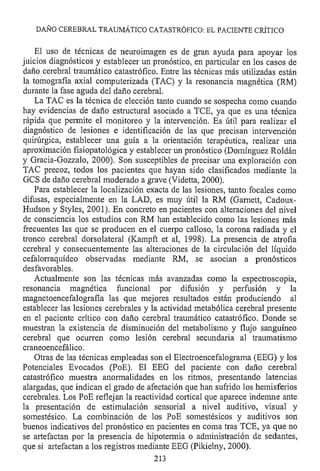 Lesión cerebral traumatica