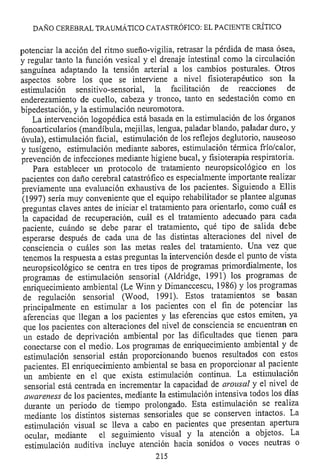 Lesión cerebral traumatica