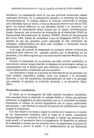 Lesión cerebral traumatica