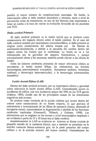 Lesión cerebral traumatica