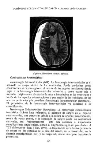 Lesión cerebral traumatica