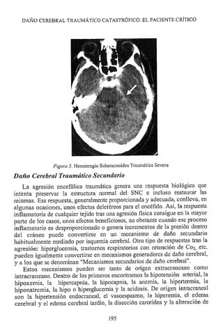 Lesión cerebral traumatica