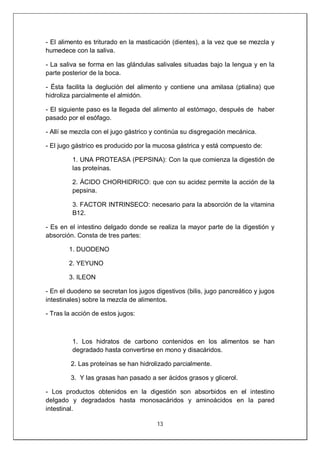 13
- El alimento es triturado en la masticación (dientes), a la vez que se mezcla y
humedece con la saliva.
- La saliva se forma en las glándulas salivales situadas bajo la lengua y en la
parte posterior de la boca.
- Ésta facilita la deglución del alimento y contiene una amilasa (ptialina) que
hidroliza parcialmente el almidón.
- El siguiente paso es la llegada del alimento al estómago, después de haber
pasado por el esófago.
- Allí se mezcla con el jugo gástrico y continúa su disgregación mecánica.
- El jugo gástrico es producido por la mucosa gástrica y está compuesto de:
1. UNA PROTEASA (PEPSINA): Con la que comienza la digestión de
las proteínas.
2. ÁCIDO CHORHIDRICO: que con su acidez permite la acción de la
pepsina.
3. FACTOR INTRINSECO: necesario para la absorción de la vitamina
B12.
- Es en el intestino delgado donde se realiza la mayor parte de la digestión y
absorción. Consta de tres partes:
1. DUODENO
2. YEYUNO
3. ILEON
- En el duodeno se secretan los jugos digestivos (bilis, jugo pancreático y jugos
intestinales) sobre la mezcla de alimentos.
- Tras la acción de estos jugos:
1. Los hidratos de carbono contenidos en los alimentos se han
degradado hasta convertirse en mono y disacáridos.
2. Las proteínas se han hidrolizado parcialmente.
3. Y las grasas han pasado a ser ácidos grasos y glicerol.
- Los productos obtenidos en la digestión son absorbidos en el intestino
delgado y degradados hasta monosacáridos y aminoácidos en la pared
intestinal.
 