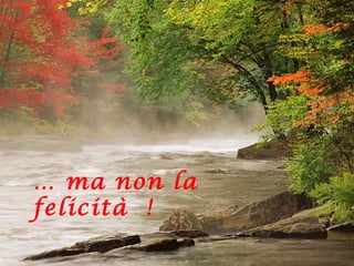 … ma non la 
felicità ! 
 