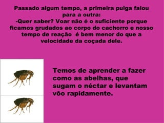 Passado algum tempo, a primeira pulga falou
                  para a outra:
   -Quer saber? Voar não é o suficiente porque
ficamos grudados ao corpo do cachorro e nosso
     tempo de reação é bem menor do que a
           velocidade da coçada dele.




             Temos de aprender a fazer
             como as abelhas, que
             sugam o néctar e levantam
             vôo rapidamente.
 