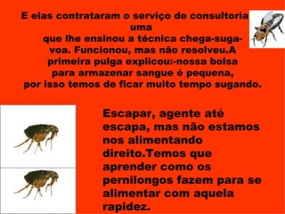 E elas contrataram o serviço de consultoria de
                     uma
    que lhe ensinou a técnica chega-suga-
     voa. Funcionou, mas não resolveu.A
     primeira pulga explicou:-nossa bolsa
      para armazenar sangue é pequena,
por isso temos de ficar muito tempo sugando.


               Escapar, agente até
               escapa, mas não estamos
               nos alimentando
               direito.Temos que
               aprender como os
               pernilongos fazem para se
               alimentar com aquela
               rapidez.
 