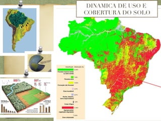 DINAMICA DE USO E
COBERTURA DO SOLO
 