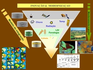 INOVAÇÄO  MODERNIZAÇAO




                                                                                           Monitoramento e gestäo
SATELITE   

                                      Chuva                                   Temp
     TEMPO/
      CLIMA                                        Radiação
                                                                        LAI
                       IBGE /                                     Fenologia
                       GEASA    




                                                                                           
                                                 Colheita   
                            MODELO         
 