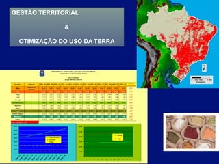 GESTÃO TERRITORIAL

              

 OTIMIZAÇÃO DO USO DA TERRA
 