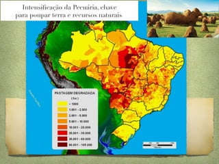 Intensiﬁcação da Pecuária, chave
para poupar terra e recursos naturais 
 