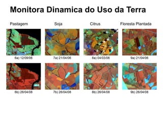 Monitora Dinamica do Uso da Terra
Pastagem   Soja      Citrus   Floresta Plantada
 