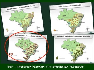 IPOF - INTENSIFICA PECUARIA  OPORTUNIZA FLORESTAS
 
