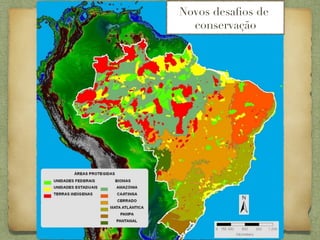 Novos desaﬁos de
  conservação
 