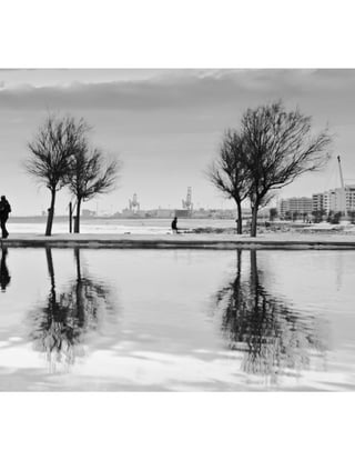 Diálogos do silencio   Biel 