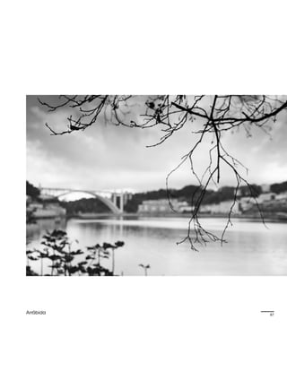 Diálogos do silencio   Biel 