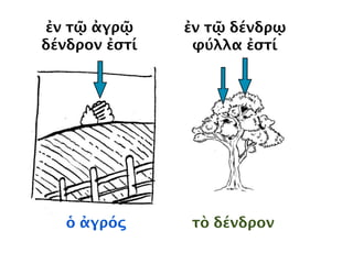 ἀγρός ἐν τῷ ἀγρῷ
δένδρον
ὁδός
ἐν τῷ δένδρῳ
ἐν τῇ ὁδῷ
 