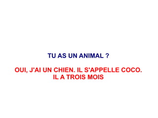 TU AS UN ANIMAL ?
OUI, J'AI UN CHIEN. IL S'APPELLE COCO.
IL A TROIS MOIS
 