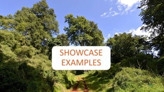 P31
SHOWCASE
EXAMPLES
 