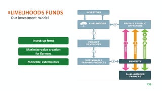 Our investment model
LIVELIHOODS FUNDS
P35
Maximize value creation
for farmers
Monetize externalities
Invest up-front
 
