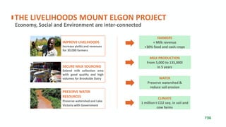 IMPROVE LIVELIHOODS
Increase yields and revenues
for 30,000 farmers
Economy, Social and Environment are inter-connected
THE LIVELIHOODS MOUNT ELGON PROJECT
P36
PRESERVE WATER
RESOURCES
Preserve watershed and Lake
Victoria with Government
SECURE MILK SOURCING
Extend milk collection area
with good quality and high
volumes for Brookside Dairy
MILK PRODUCTION
From 5,000 to 135,000l
in 5 years
FARMERS
+ Milk revenue
+30% food and cash crops
WATER
Preserve watershed &
reduce soil erosion
CLIMATE
1 million t CO2 seq. in soil and
cow farms
 