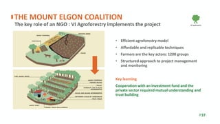 • Efficient agroforestry model
• Affordable and replicable techniques
• Farmers are the key actors: 1200 groups
• Structured approach to project management
and monitoring
Key learning
Cooperation with an investment fund and the
private sector required mutual understanding and
trust building
The key role of an NGO : VI Agroforestry implements the project
THE MOUNT ELGON COALITION
P37
 