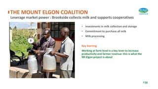 • Investments in milk collection and storage
• Commitment to purchase all milk
• Milk processing
Key learning
Working at farm level is a key lever to increase
productivity and farmer revenue: this is what the
Mt Elgon project is about
Leverage market power : Brookside collects milk and supports cooperatives
THE MOUNT ELGON COALITION
P38
 