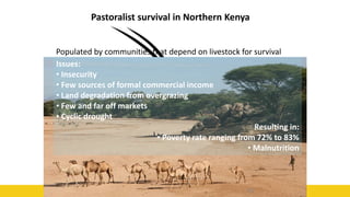 45
Pastoralist survival in Northern Kenya
Issues:
• Insecurity
• Few sources of formal commercial income
• Land degradation from overgrazing
• Few and far off markets
• Cyclic drought
Resulting in:
• Poverty rate ranging from 72% to 83%
• Malnutrition
Populated by communities that depend on livestock for survival
 