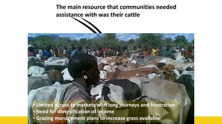 49
The main resource that communities needed
assistance with was their cattle
• Limited access to markets with long journeys and frustration
• Need for diversification of income
• Grazing management plans to increase grass available
 
