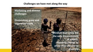 52
Challenges we have met along the way
Mindset that cattle are
the only measurement
of wealth.
Needs to change to
allow their income to
diversify
Marketing and disease
challenges
Diminishing grass and
vegetation cover
 