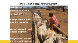 53
There is a lot of scope for improvement
Increase the
throughput of cattle
Change mindset from
quantity to quality
Animal husbandry and
disease diagnosis
Integration of morans
into economic system
 