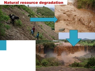 Achievements and challenges in Ethiopian agriculture