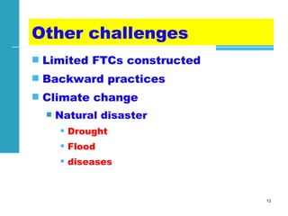 Achievements and challenges in Ethiopian agriculture