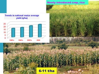 Achievements and challenges in Ethiopian agriculture