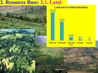 Achievements and challenges in Ethiopian agriculture