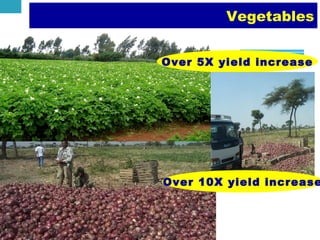 Achievements and challenges in Ethiopian agriculture