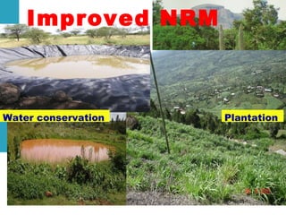 Achievements and challenges in Ethiopian agriculture