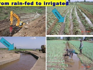 Achievements and challenges in Ethiopian agriculture