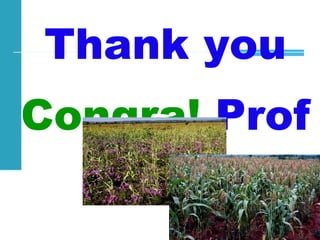 Achievements and challenges in Ethiopian agriculture