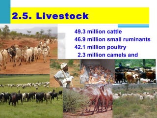 Achievements and challenges in Ethiopian agriculture